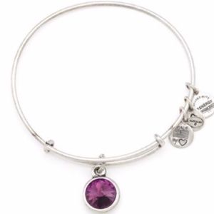 Alex and Ani Amethyst Bangle